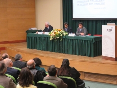 Debate II - Rumos e desígnios das Empresas Familiares