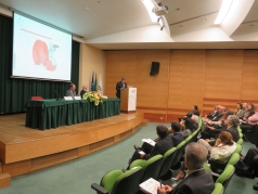 Reitor Universidade
