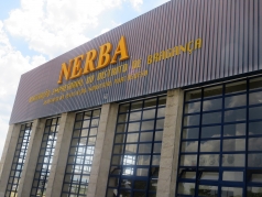 Nerba